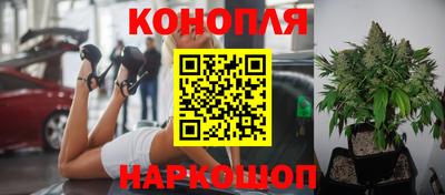jwh Шахты