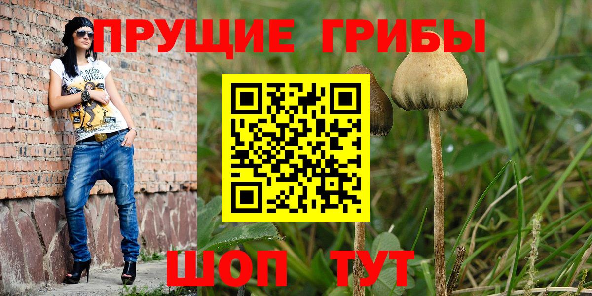 Галлюциногенные грибы мухоморы  Вход с VPN  Людиново 